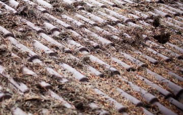 Toft Monks roof cleaning companies